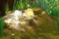 Vignette pour la version du 23 avril 2019 à 20:17