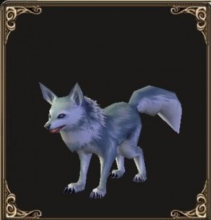 Pet Jeune loup (familier).jpg