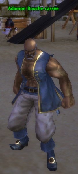 Fichier:Pnj Adamon Bouche-cassée.jpg
