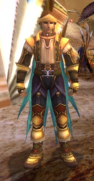 Fichier:Pnj Ayren.jpg