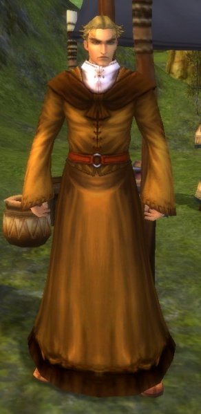 Fichier:Pnj Brando Manlin.jpg