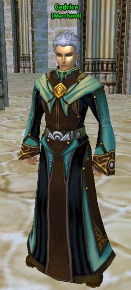 Fichier:Pnj Cedrice.jpg