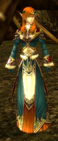 Fichier:Pnj Diandon.jpg