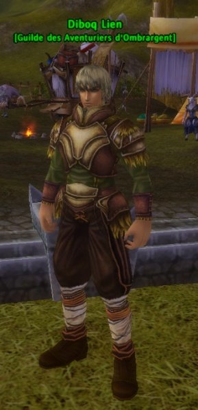 Fichier:Pnj Diboq Lien.jpg