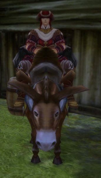 Fichier:Pnj Dier Sorrun.jpg