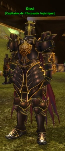 Fichier:Pnj Dissi.jpg