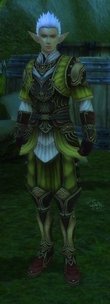 Fichier:Pnj Dorlinga.jpg