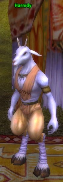 Fichier:Pnj Harnidy.jpg