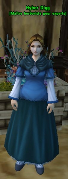 Fichier:Pnj Hyber Digg.jpg