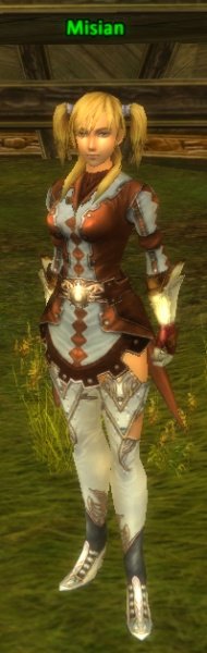 Fichier:Pnj Misian.jpg