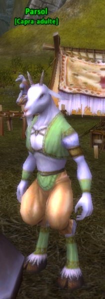 Fichier:Pnj Parsol.jpg