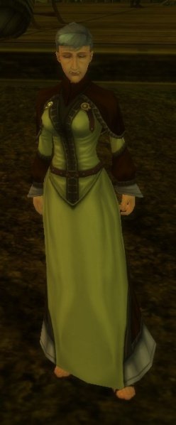 Fichier:Pnj Pouvoir de Navid Kebay.jpg