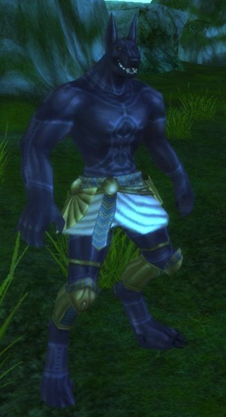 Fichier:Pnj Sikas Rascalp.jpg