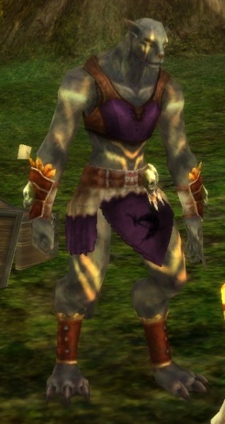 Fichier:Pnj Wotana.jpg