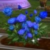 Rose éclose odorante bleue